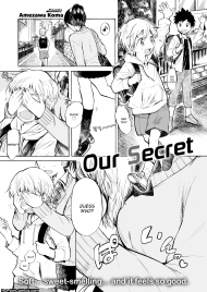 doc-truyen-our-secret.jpg