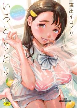 iro-toridori.jpg