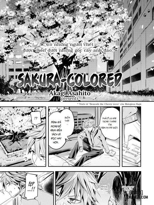 sakura-colored.jpg