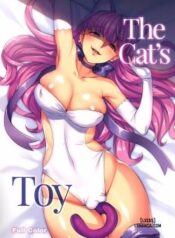the-cat-s-toy.jpg