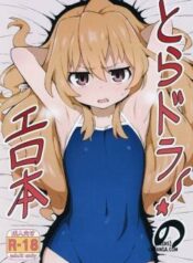 toradora-porn-book.jpg