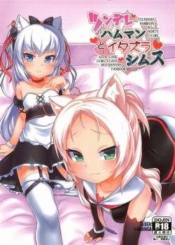 tsundere-hammann-to-itazura-sims.jpg