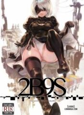 2b9s.jpg