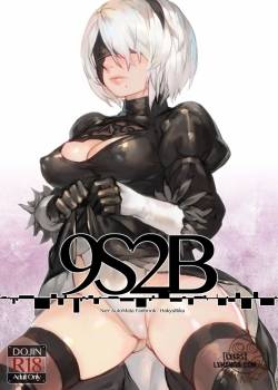 9s2b.jpg