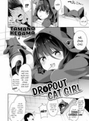 dropout-cat-girl.jpg