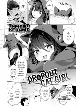 dropout-cat-girl.jpg