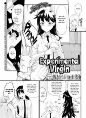 experimental-virgin.jpg