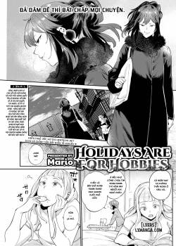 holidays-are-for-hobbies.jpg