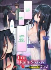 in-a-rain-soaked-bed.jpg