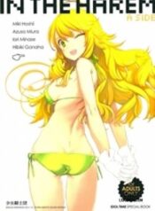 in-the-harem-a-side.jpg