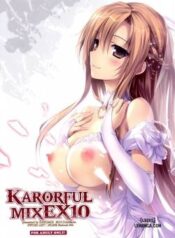 karorful-mix-ex10.jpg