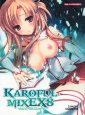 karorful-mix-ex8.jpg