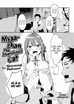 miyaa-chan-the-abandoned-cat.jpg