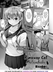runaway-cat-melancholic.jpg