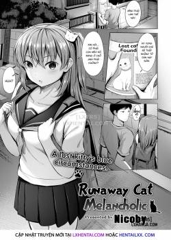 runaway-cat-melancholic.jpg