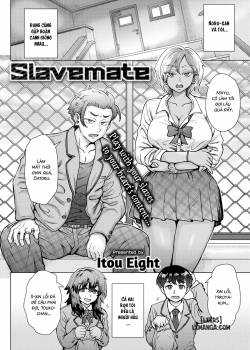 slavemate.jpg