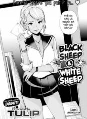 black-sheep-white-sheep.jpg