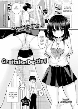 genitals-of-destiny.jpg