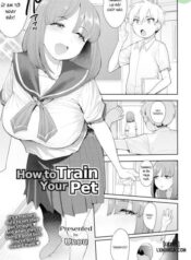 how-to-train-your-pet.jpg