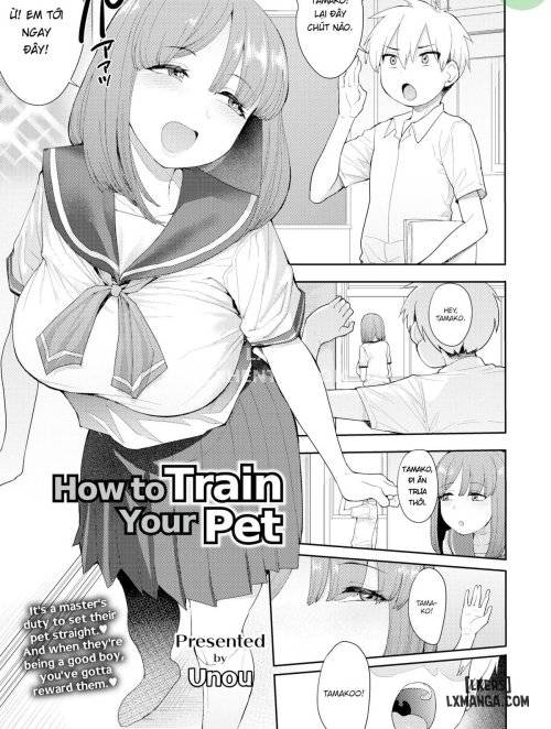 how-to-train-your-pet.jpg