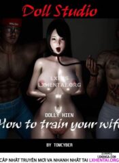 how-to-train-your-wife.jpg