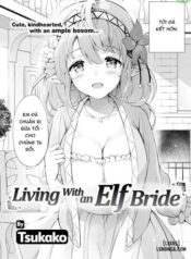 living-with-an-elf-bride.jpg