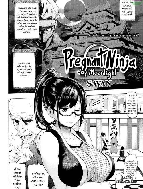 pregnant-ninja-by-moonlight.jpg