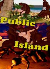 public-island.jpg