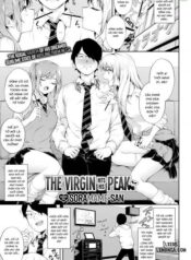 the-virgin-hits-his-peak.jpg