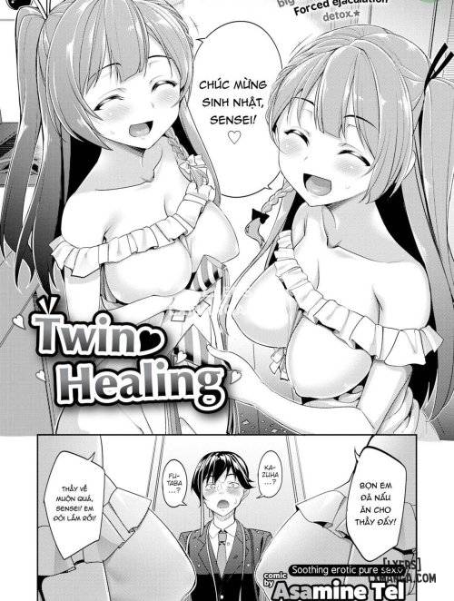 twin-healing.jpg