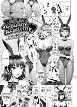 welcome-to-bunny-academy.jpg
